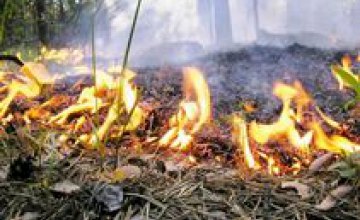 Более 300 человек тушили пожар на полигоне в Днепропетровской области