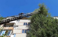 На Днепропетровщине пожарные спасли домашнего кота, застрявшего на 15-метровой высоте (ФОТО)