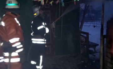 Спасатели ликвидировали возгорание в хозпостройке на территории Новомосковского района