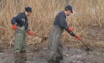 Днепропетровские спасатели убрали прибрежную зону реки Днепр