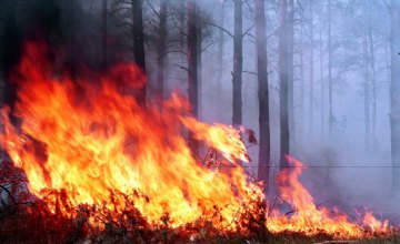 В Киевской области произошел пожар в зоне отчуждения