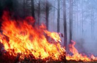 В Киевской области произошел пожар в зоне отчуждения