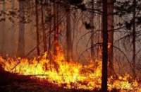 ​С начала года в Днепропетровской области произошло более 50 лесных пожаров