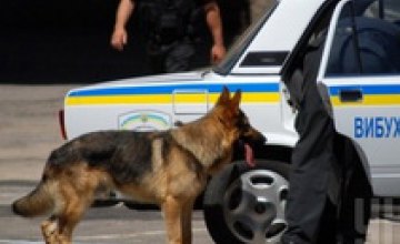 МВД заявляет о предотвращении теракта в Закарпатье