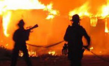 В Киевской области пожарные 4 часа тушили складское помещение с древесиной