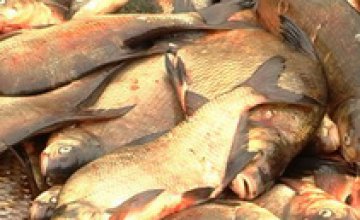 За незаконный вылов рыбы экологические прокуроры направили в суд 14 уголовных производств