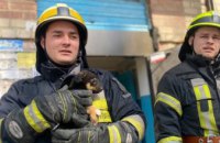 Вытащили из подвала и дали кров над головой: спасатели в Днепре помогли щенку