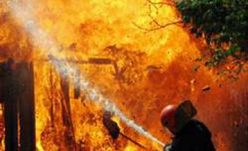 В результате пожара на Днепропетровщине погибли трое малышей 