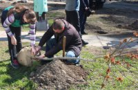 Посади семейное дерево: жители ж/м 12 квартал высадили первый кленовый сад в Днепре (ФОТОРЕПОРТАЖ) 