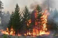 С начала года в лесах Днепропетровской области произошло более 20 пожаров