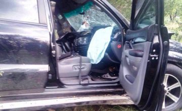 В Днепропетровской области иномарка врезалась в дерево: спасатели деблокировали водителя из авто