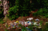 Жовтневый район хочет вывозить мусор по-старому