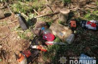 В Днепропетровской области задержали группу «черных» лесорубов
