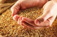 Аграрии Днепропетровской области собрали 2,2 млн. т зерна