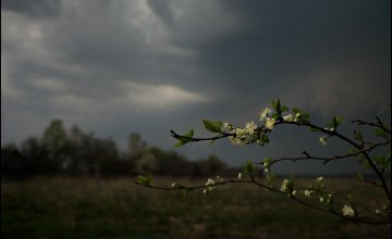 ​Сегодня в Днепре дождь и гроза