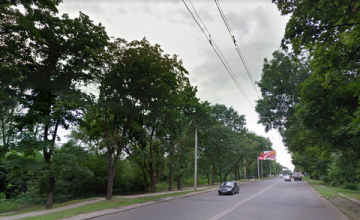  В Харькове дерево упало на рабочих, три человека получили травмы