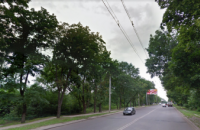  В Харькове дерево упало на рабочих, три человека получили травмы