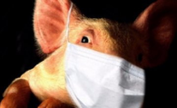 Украинцев предупредили о страшном подвиде «свиного» гриппа