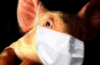 Украинцев предупредили о страшном подвиде «свиного» гриппа