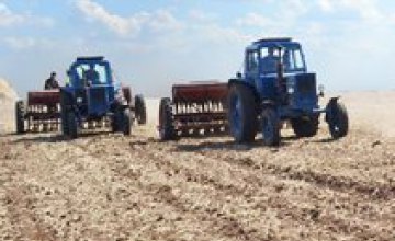 В Днепропетровской области посеют более 500 тыс. га озимой пшеницы