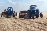В Днепропетровской области посеют более 500 тыс. га озимой пшеницы
