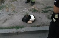 В Днепре спасли щенков, которые провалились в полутораметровую яму