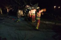 В Николаевской области автомобиль врезался в дерево: 1 погибший и 6 пострадавших