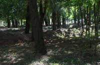 Чому реконструкція Севастопольського парку у Дніпрі поставлена на паузу