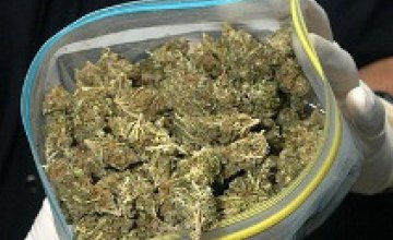 У жителя Днепропетровска изъяли 2 кг марихуаны