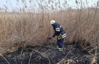 Пожарные Днепропетровщины ликвидировали возгорание на открытой территории: сгорел 1 га сухостоя