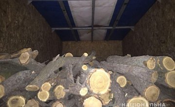 ​На Днепропетровщине задержали «черного лесоруба» с древесиной на сумму более 130 тыс. грн