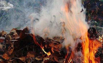 Вредит окружающей среде, здоровью и угрожает штрафами: жителям региона напомнили о запрете сжигать опавшие листья