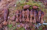 В Днепропетровской области мужчина нашел 2 мины 