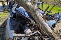 Под Днепром Москвич врезался в дерево: водитель госпитализирован с переломом ноги (ФОТО)