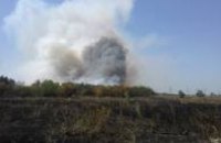 На Днепропетровщине горел лес в районе «голубых озер»