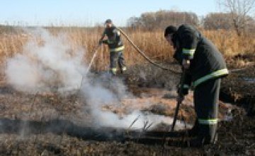 Под Киевом горит более 120 гектаров торфяников (ВИДЕО)