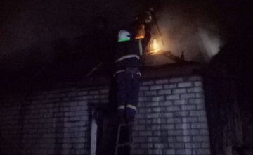 ​На Днепропетровщине во время пожара дотла сгорел человек