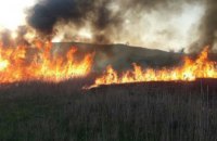 В Покрове произошел масштабный пожар в экосистеме (ФОТО)
