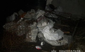 ​На Днепропетровщине обнаружили незаконный пункта приема металла с 500 кг «товара» 