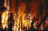 В районе Днепродзержинска горел хвойный лес