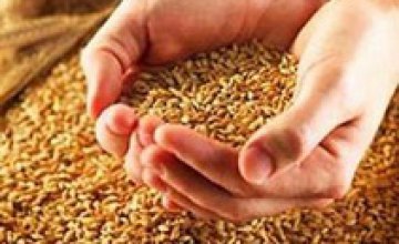В Днепропетровской области формируют региональный запас зерна в размере 100 тыс. тонн