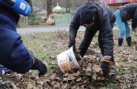 Парки Дніпра готують до зими: що вже зроблено