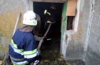 На Днепропетровщине 7-летняя девочка пострадала в результате пожара