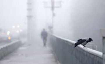6 февраля в Днепре ожидается туман и гололед