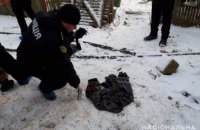 В Одесской области 29-летний мужчина во время застолья топором и ножом убил 4-х человек 