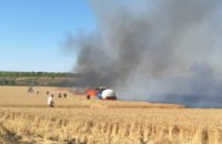 В Днепропетровской области сгорело 2 га пшеницы 
