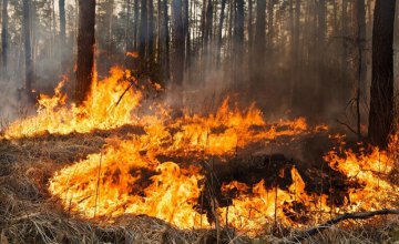 ​В 2018 году в лесах Днепропетровщины произошло более 100 пожаров