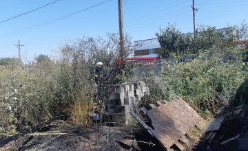 В Днепре из-за возгорания сухой травы огонь перекинулся на частные дома