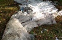 На Днепропетровщине на территории школы обнаружили свалку ядовитых отходов (ФОТО)