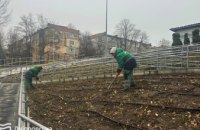 Довго цвітуть та стійкі до хвороб і шкідників: у Дніпрі в парку Зелений Гай висадили 100 кущів троянд